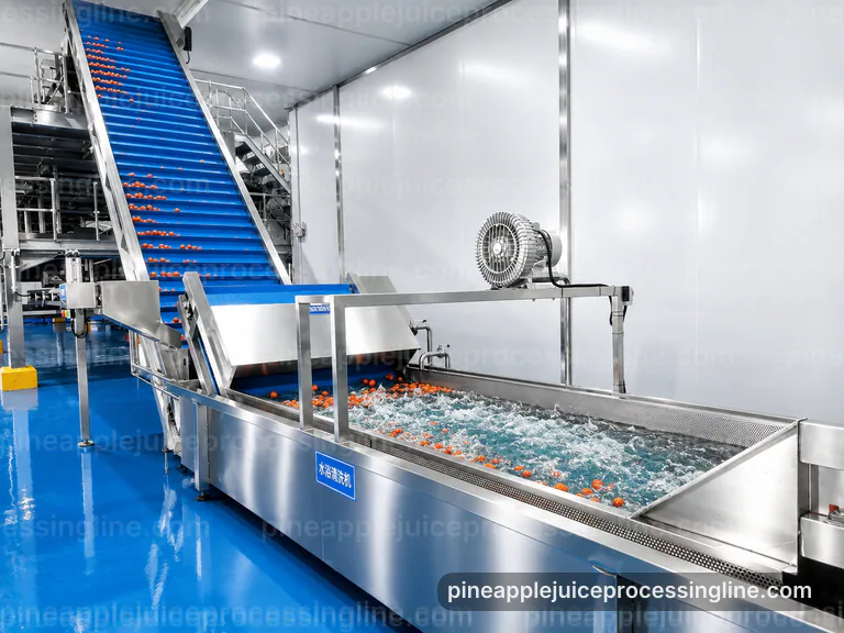 industrial pineapple juice processing line, feed and output handling: pressing with coarse fiber separation section connection view